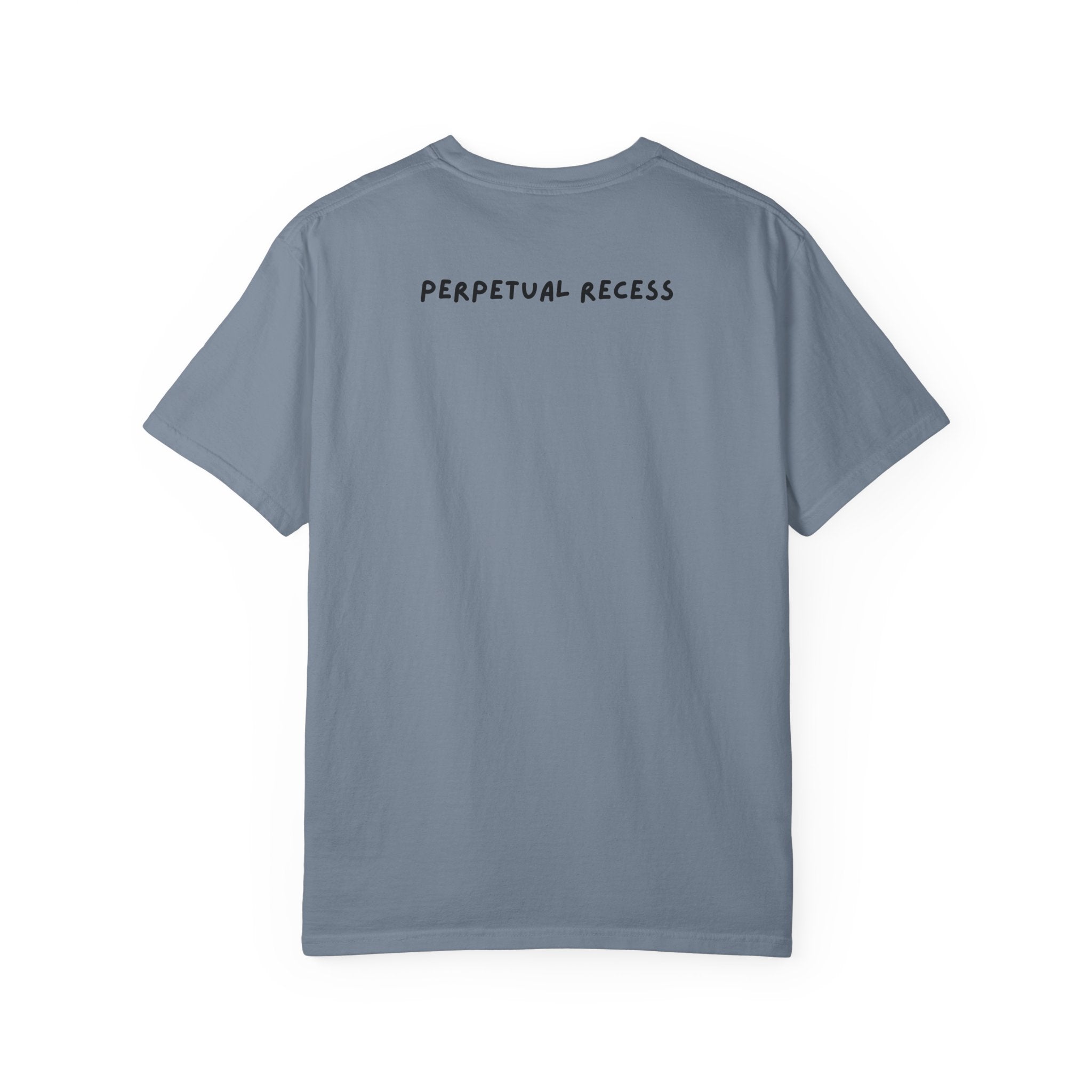 first rodeo goose t-shirt